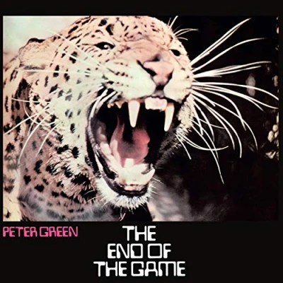 Afbeelding van The End Of Game
