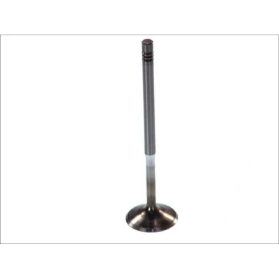 Afbeelding van Ae Inlaatklep V94081