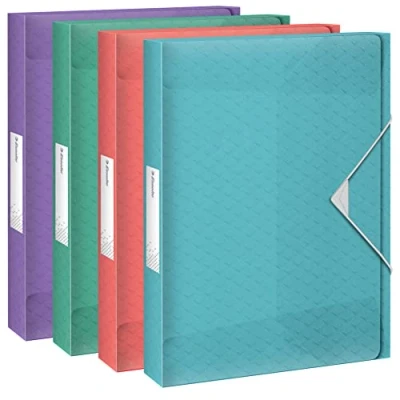 Afbeelding van Esselte A4 Documentenbox, Grote Capaciteit van 350 Vel Papier, Rugbreedte 40 Millimeter, Organiser Voor Documenten, Thuis en op Kantoor, Reliëfpatroon, Colour&#039;Breeze, Diverse Kleuren, 626266