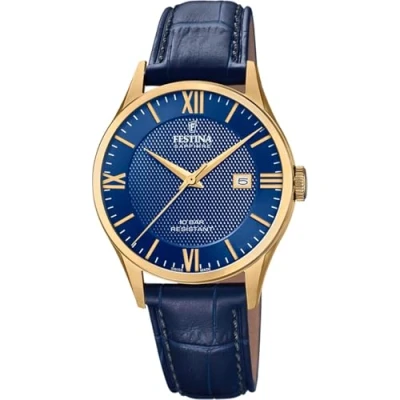 Afbeelding van Festina Kwartshorloge Swiss Made Collection, F20010/3