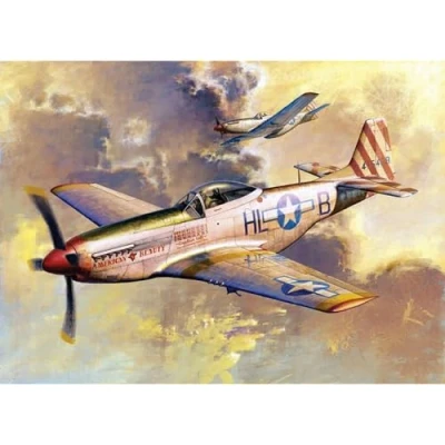Afbeelding van P 51D Mustang