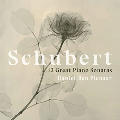 Afbeelding van Daniel Ben Pienaar 12 Great Piano Sonatas (5 CD)