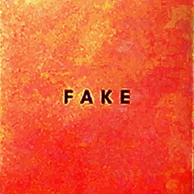 Afbeelding van Fake