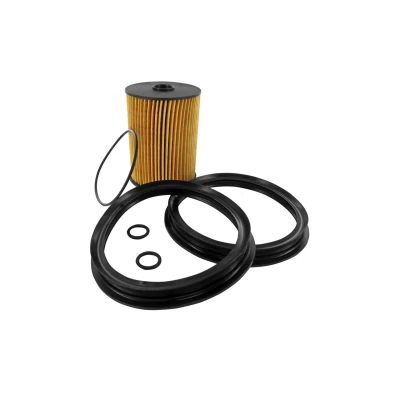 Afbeelding van VAICO V20 0717 Brandstoffilter Filter insert EXPERT KITS + Met pakkingen MINI: Hatchback