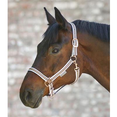 Afbeelding van Waldhausen Halster Shine Wit/Rosé Full