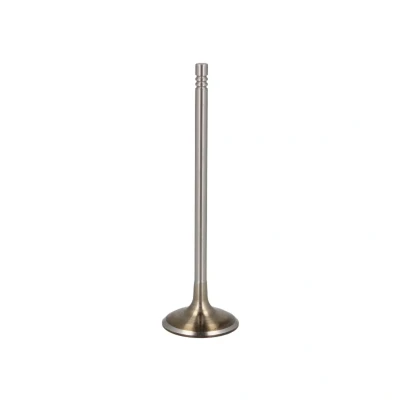 Afbeelding van Inlaatklep FRECCIA R6732/S
