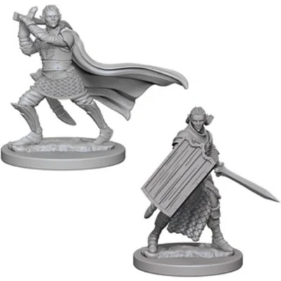 Afbeelding van PATHFINDER BATTLES DEEP CUTS UNPAINTED MINIATURES: ELF MALE PALADIN