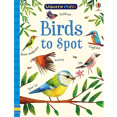 Afbeelding van Birds to Spot (Usborne Minis)