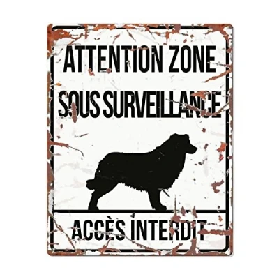 Afbeelding van D&amp;d Home Waakbord Hond Warning Sign Square Collie F 20x25cm Wit 1st