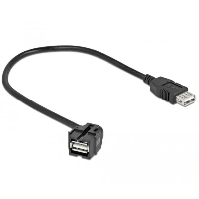 Afbeelding van Delock Keystone Module USB 2.0 A Vrouwelijk 250 &gt;