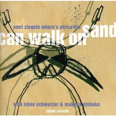 Afbeelding van Omri Ziegele Where&#039;s Africa Trio Can Walk On Sand (CD)