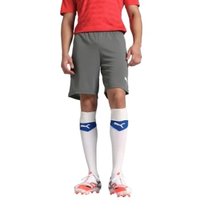 Afbeelding van Puma Teamrise Short Heren Grijs Maat: S