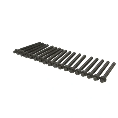 Afbeelding van Cilinderkopbout set VICTOR REINZ 14 10569 01