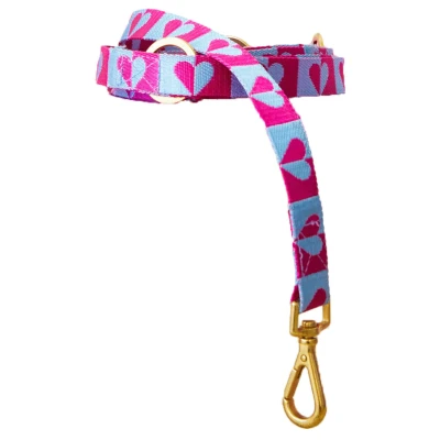 Afbeelding van Dogguo Heart Leash Blauw&amp;Raspberry Hondenriem 200x2.5 cm