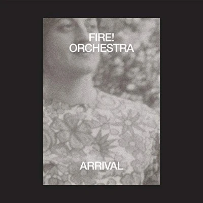 Afbeelding van Fire! Orchestra Arrival (2 LP)