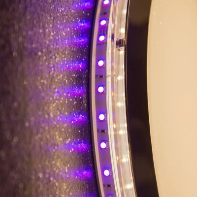 Afbeelding van Globo LED plafondlamp Nicole II met afstandsbediening