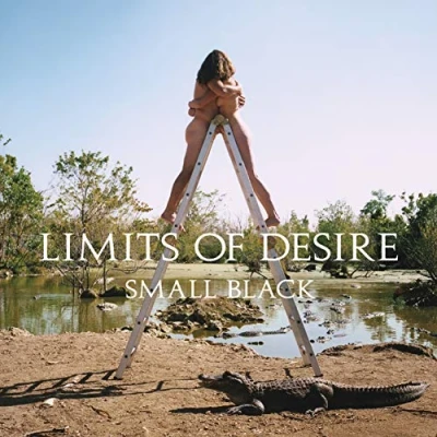 Afbeelding van Small Black Limits Of Desire