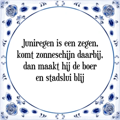 Afbeelding van Juniregen is een zegen, komt zonneschijn daarbij, Tegeltje + Spreuk