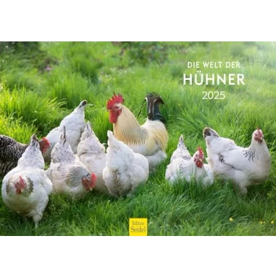 Afbeelding van Edition Seidel Premium kalender &#039;Die Welt der Kippen&#039; 2025 formaat DIN A3 wandkalender dierenkalender kippenkalender huisdieren kip kuiken vogels