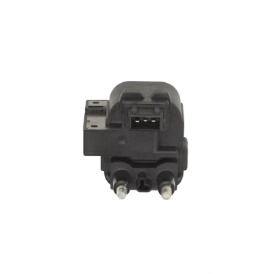 Afbeelding van Bobine DELPHI CE10021 12B1
