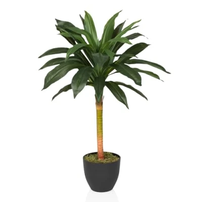 Afbeelding van hjh OFFICE Kunstplant DRACAENA I Kunststof Groen