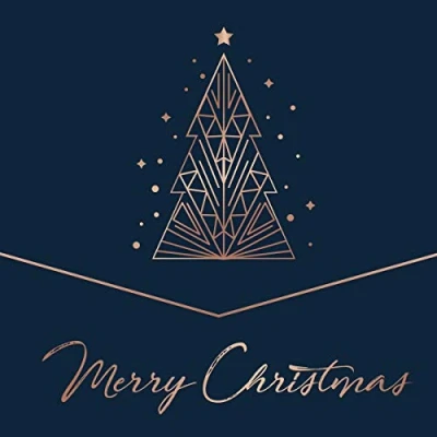 Afbeelding van V/A Merry Christmas (2 LPs)