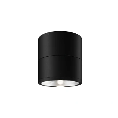 Afbeelding van Maytoni Outdoor Plafondlamp Spin Grafiet Ø10,8