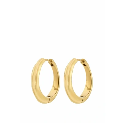 Afbeelding van Pilgrim Oorbellen goldcoloured, Dames, Maat: One Size, Gold coloured