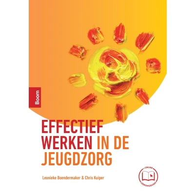 Afbeelding van Effectief werken in de jeugdzorg (Paperback)