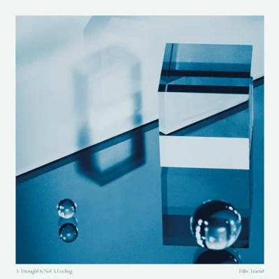 Afbeelding van Tiflis Transit a Thought is Not Feeling (LP)