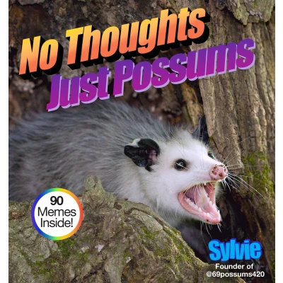 Afbeelding van No Thoughts Just Possums