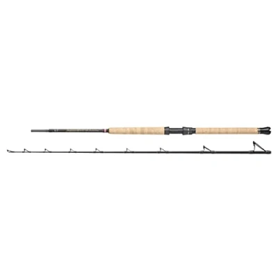 Afbeelding van Penn Regiment III Pro Boothengel 2.13m 20 30lb