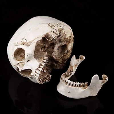Afbeelding van 1:1 Menselijke Schedel Hars Model, Levensgrote Hoofd Bot Model 21x16x12 cm Skelet Replica Halloween Party Decoratie, voor Anatomisch Medisch Onderwijs &amp;