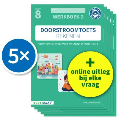 Afbeelding van Doorstroomtoets Rekenen Werkboek 2 + Online video uitleg (set van 5)