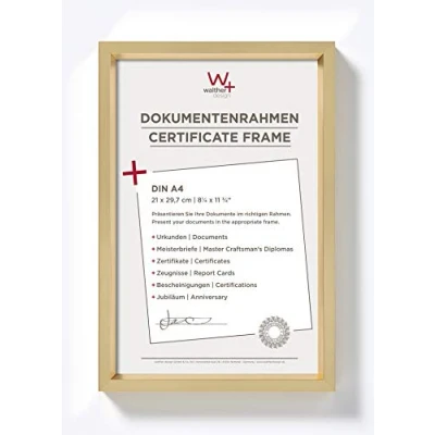Afbeelding van walther design fotolijst goud 21 x 29,7 cm (DIN A4) met passe partout, Steel Style kunststof lijst ES130G