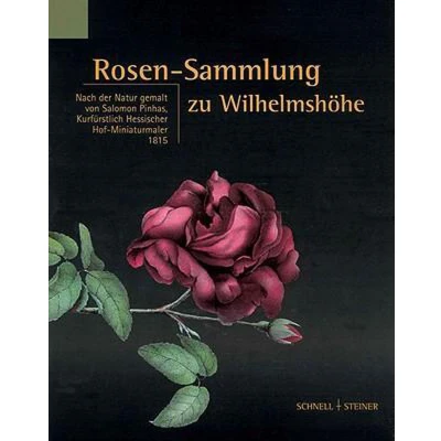 Afbeelding van Rosen Sammlung Zu Wilhelmshohe