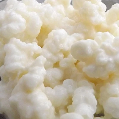 Afbeelding van Kombuchaorganic ® 10g UKAS LAB Getest Grote portie gecertificeerde biologische kefirkorrels voor geitenmelk Kokosmelk Hazelnootmelk Sojamelk