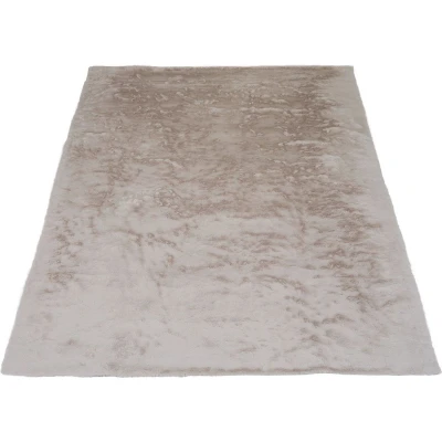 Afbeelding van Veer Carpets Vloerkleed Gentle Beige 70 200 x 290 cm