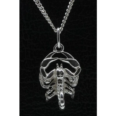 Afbeelding van Zilveren Sterrenbeeld Schorpioen ketting hanger groot