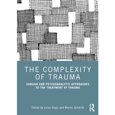 Afbeelding van The Complexity of Trauma