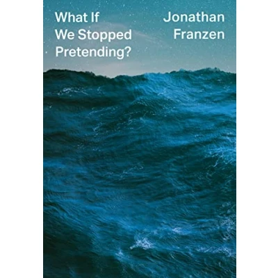 Afbeelding van What if we stopped pretending?: Jonathan Franzen