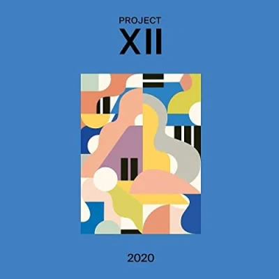 Afbeelding van Various Artists XII 2020 (LP)