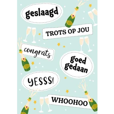 Afbeelding van Kaart Geslaagd SGR11 D Geslaagd, whoohoo