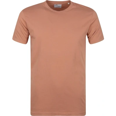 Afbeelding van Colorful Standard Organisch T Shirt Bruin maat S Heren Print Shirts met Modern fit Pasvorm Duurzaam
