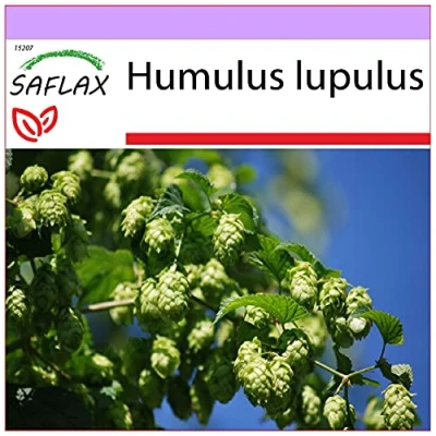 Afbeelding van SAFLAX Medicinale Planten Echte Hop 50 Zaden Humulus lupulus