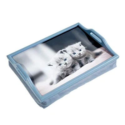 Afbeelding van Aidapt schootdienblad met print kittens