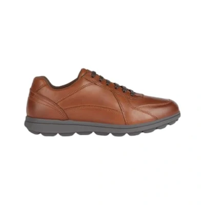Afbeelding van Geox U Spherica Sneakers laag, Heren, Maat: 40, Cognac Leer