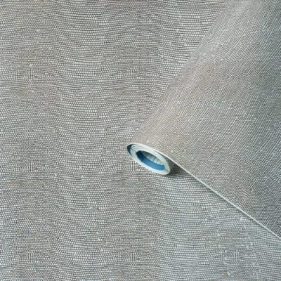 Afbeelding van Venilia Lizard Gecko Skin Hagedis Plakfolie, grijs, 67,5 cm x 1,5 m, dikte 350 µ, zelfklevende meubelfolie, decoratiefolie, behang, keukenfolie, pvc zonder ftalaten, made in EU