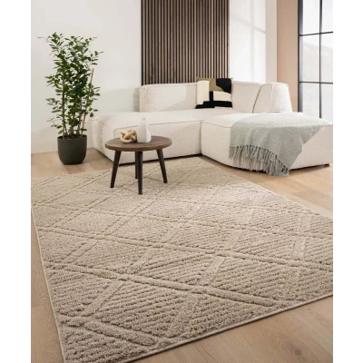 Afbeelding van Scandinavisch Vloerkleed Arc Gem Beige 80x150 Cm