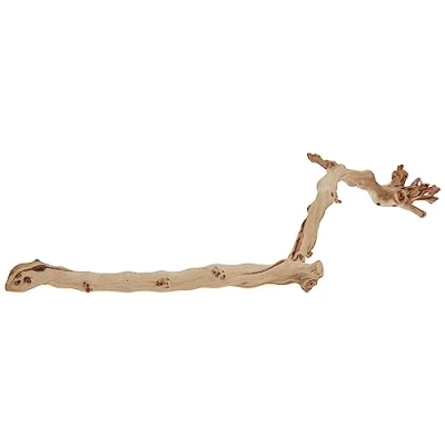 Afbeelding van Exo Terra Natuurlijke Decoratie Reptielen Ex Forest Branch L/60cm 1st